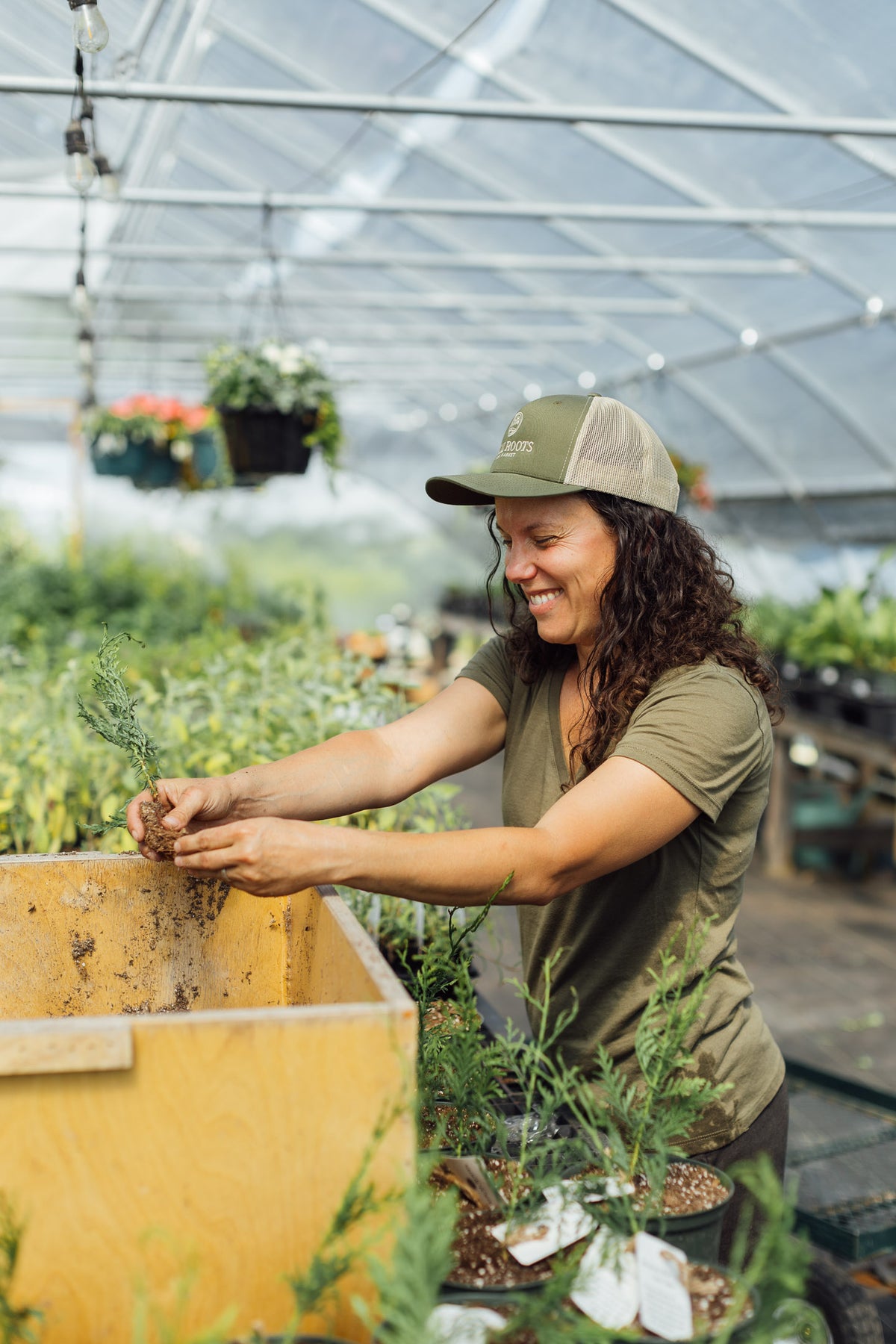 transplanting