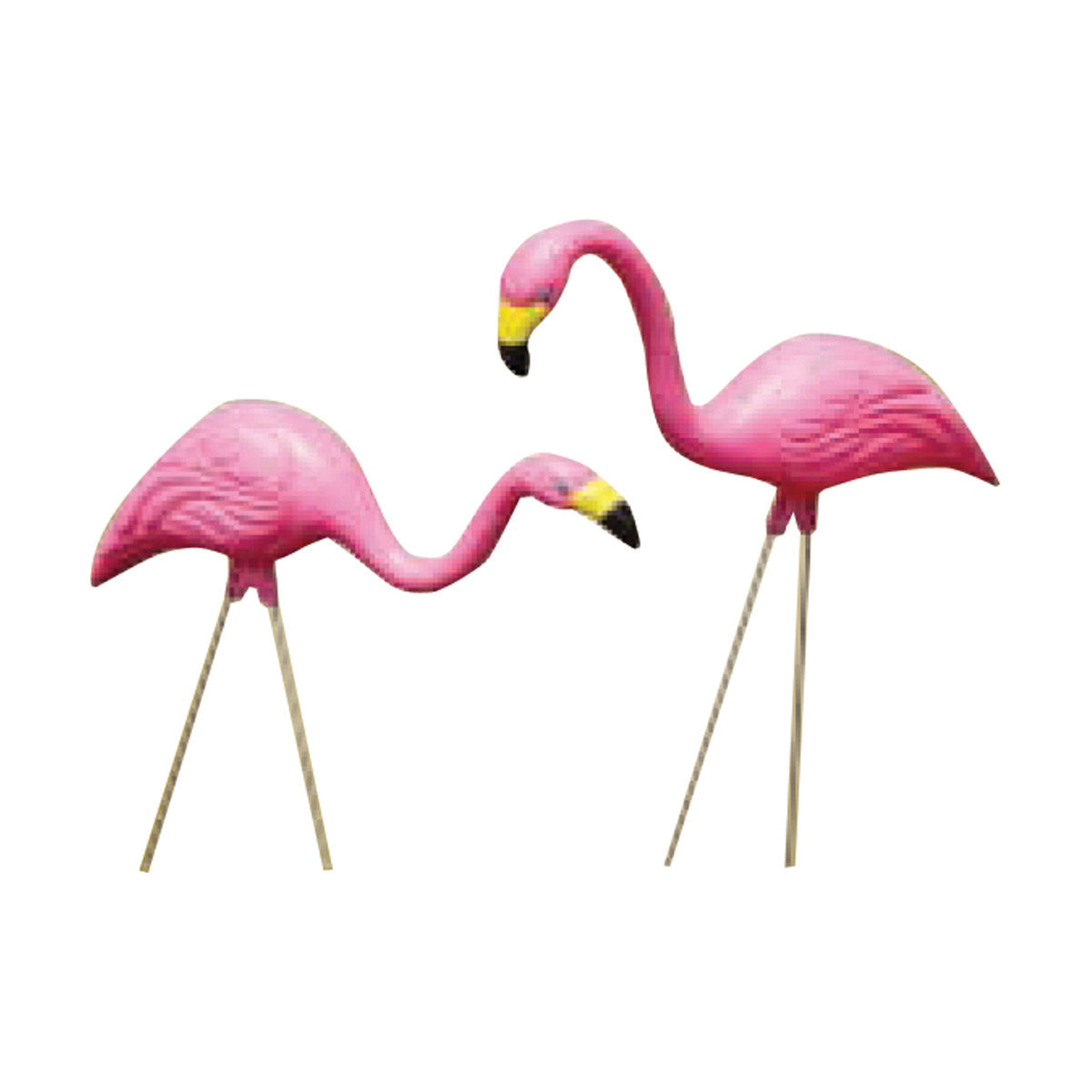 Bloem Pink Flamingo 2 Pack