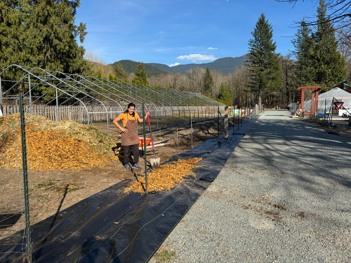 preparing the site