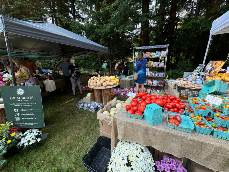 Brackendale Fall Fair