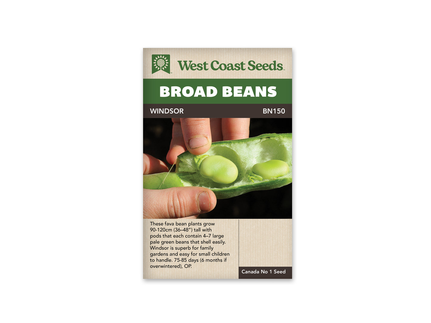 Beans "Windsor" West Coast Seeds
