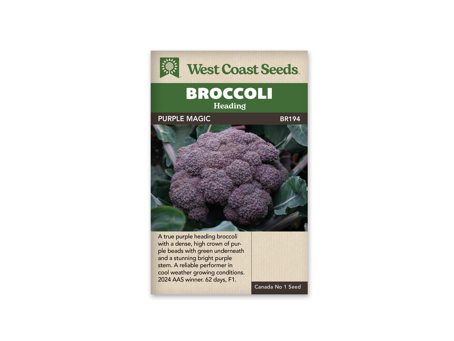 Broccoli “Purple Magic F1” West Coast Seeds