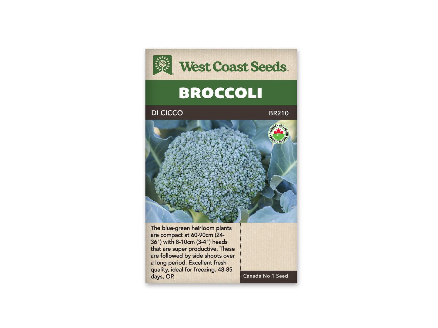 Broccoli “Di Cicco Organic” West Coast Seeds