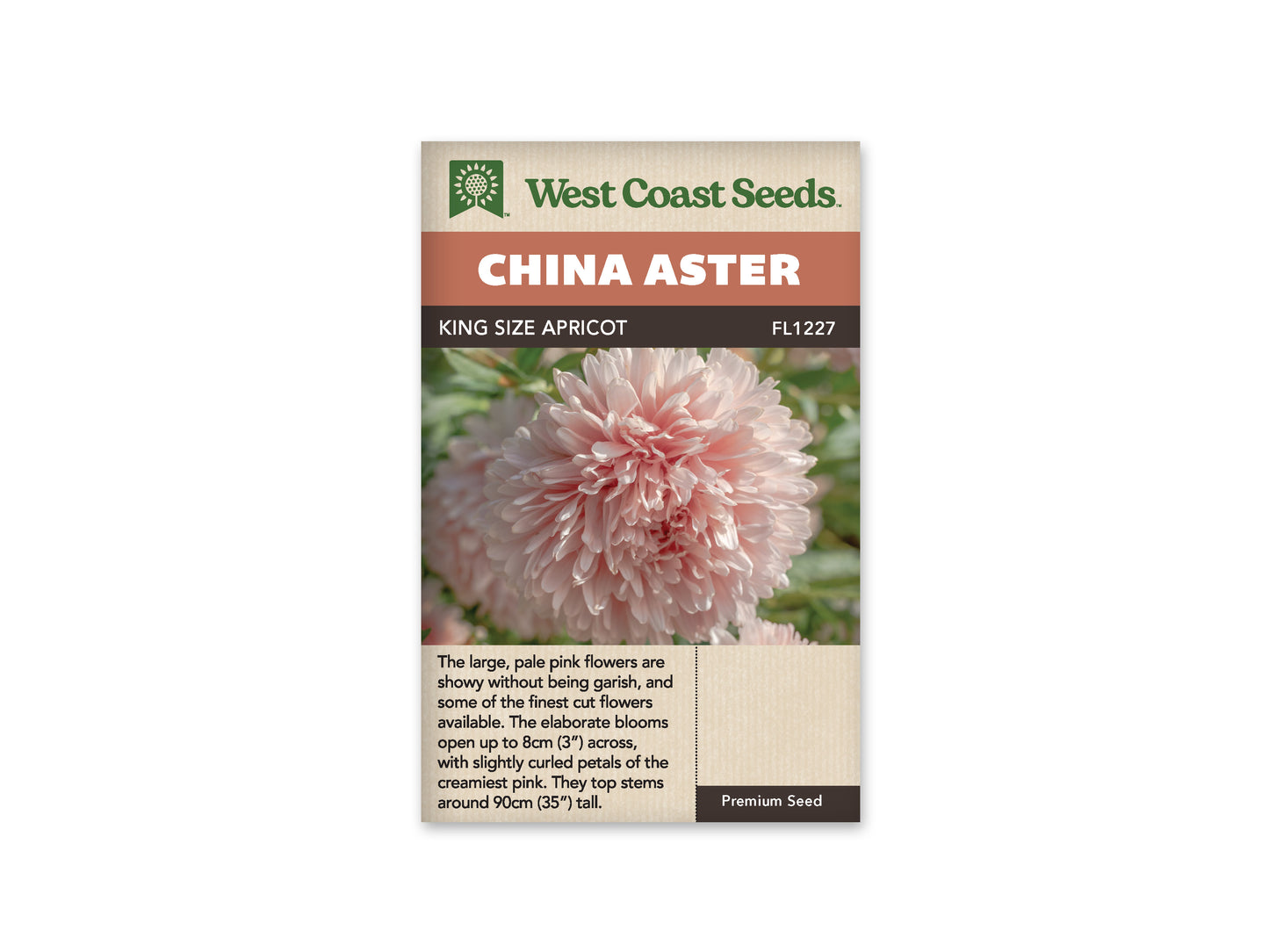 Aster "King Size Apricot" West Coast Seeds