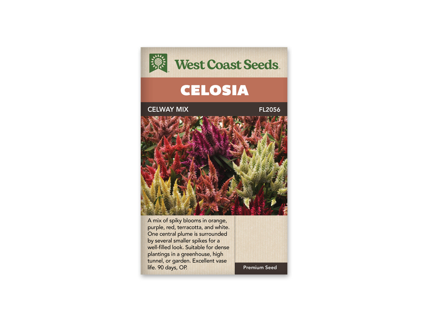 Celosia “Celway Mix Pelleted” West Coast Seeds