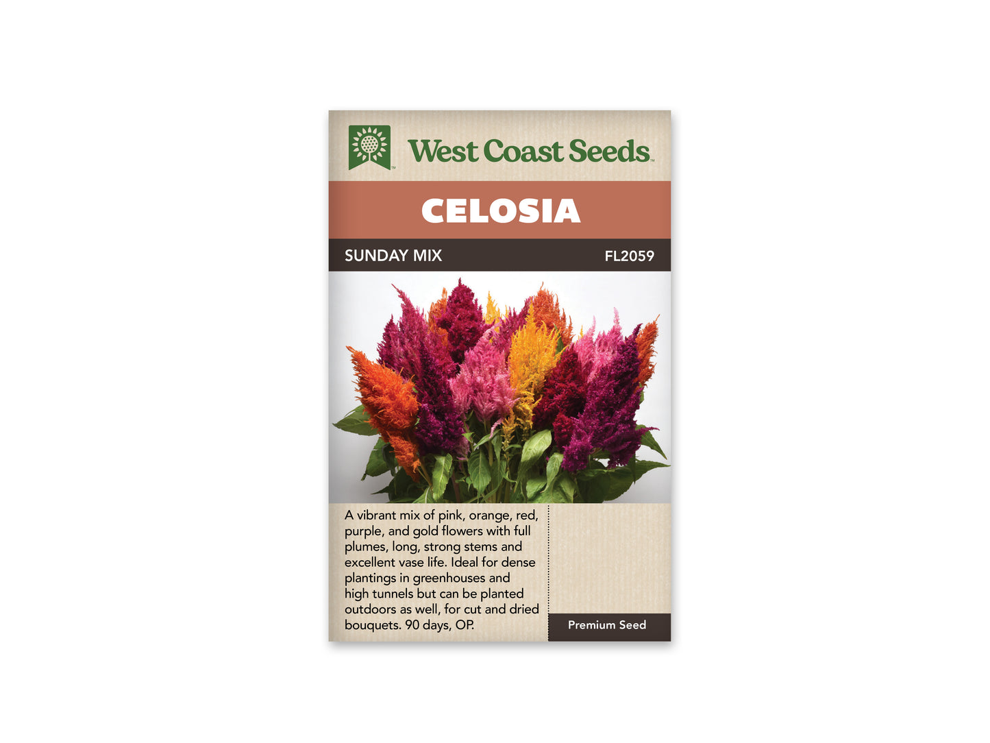 Celosia “Sunday Mix Pelleted” West Coast Seeds