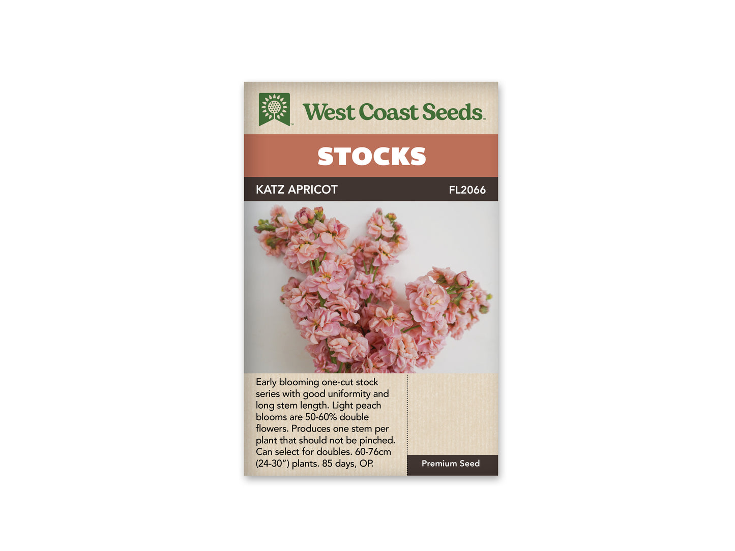 Stock "Katz Apricot" West Coast Seeds