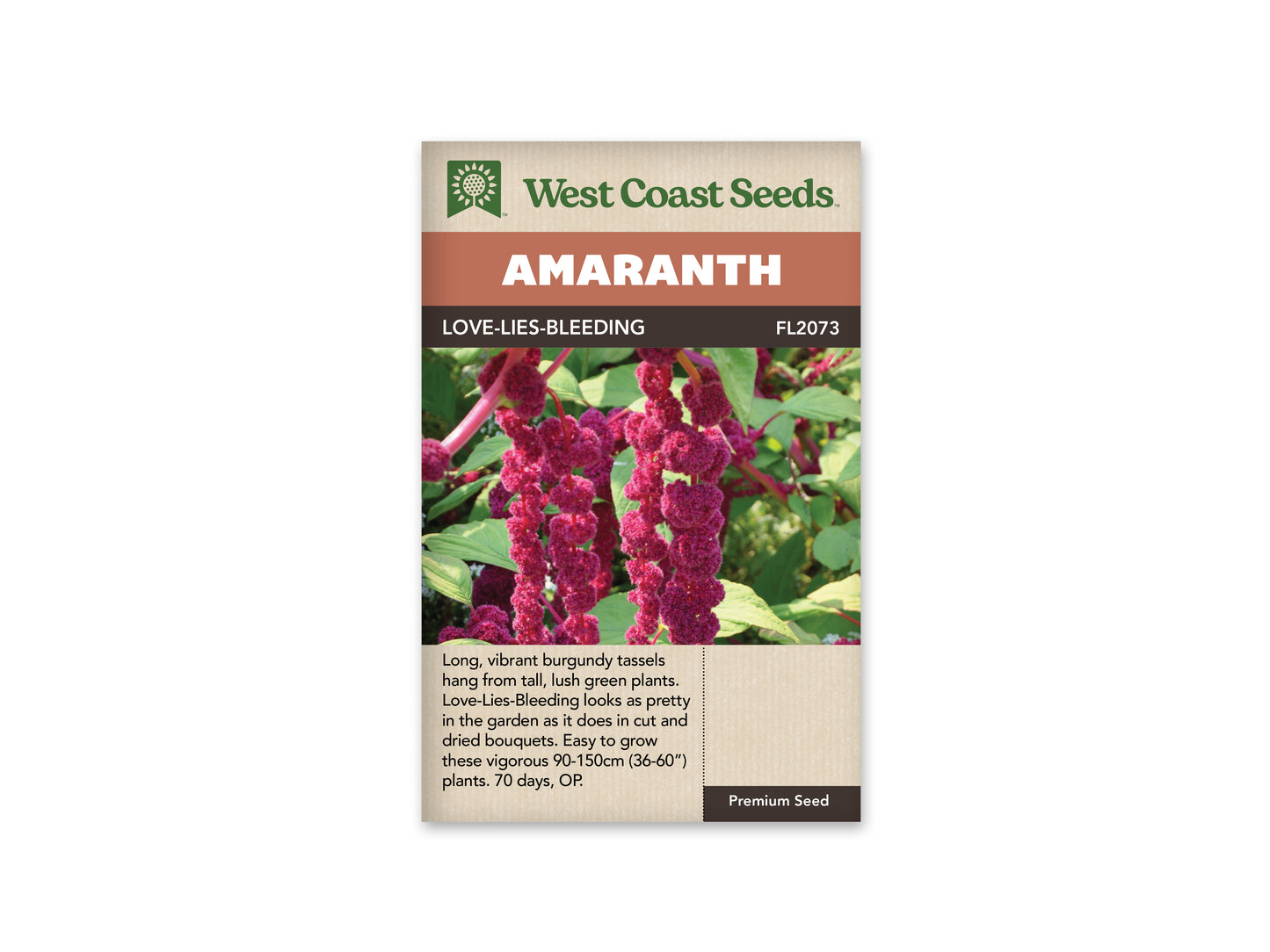 Amaranth "Love-Lies-Bleeding" West Coast Seeds