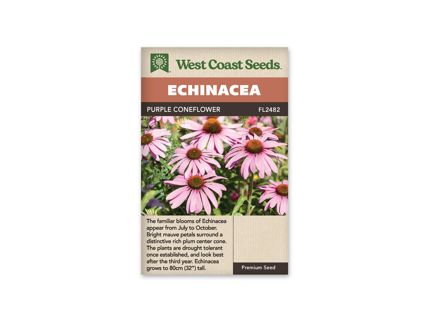 Echinacea "Purple Coneflower" West Coast Seeds