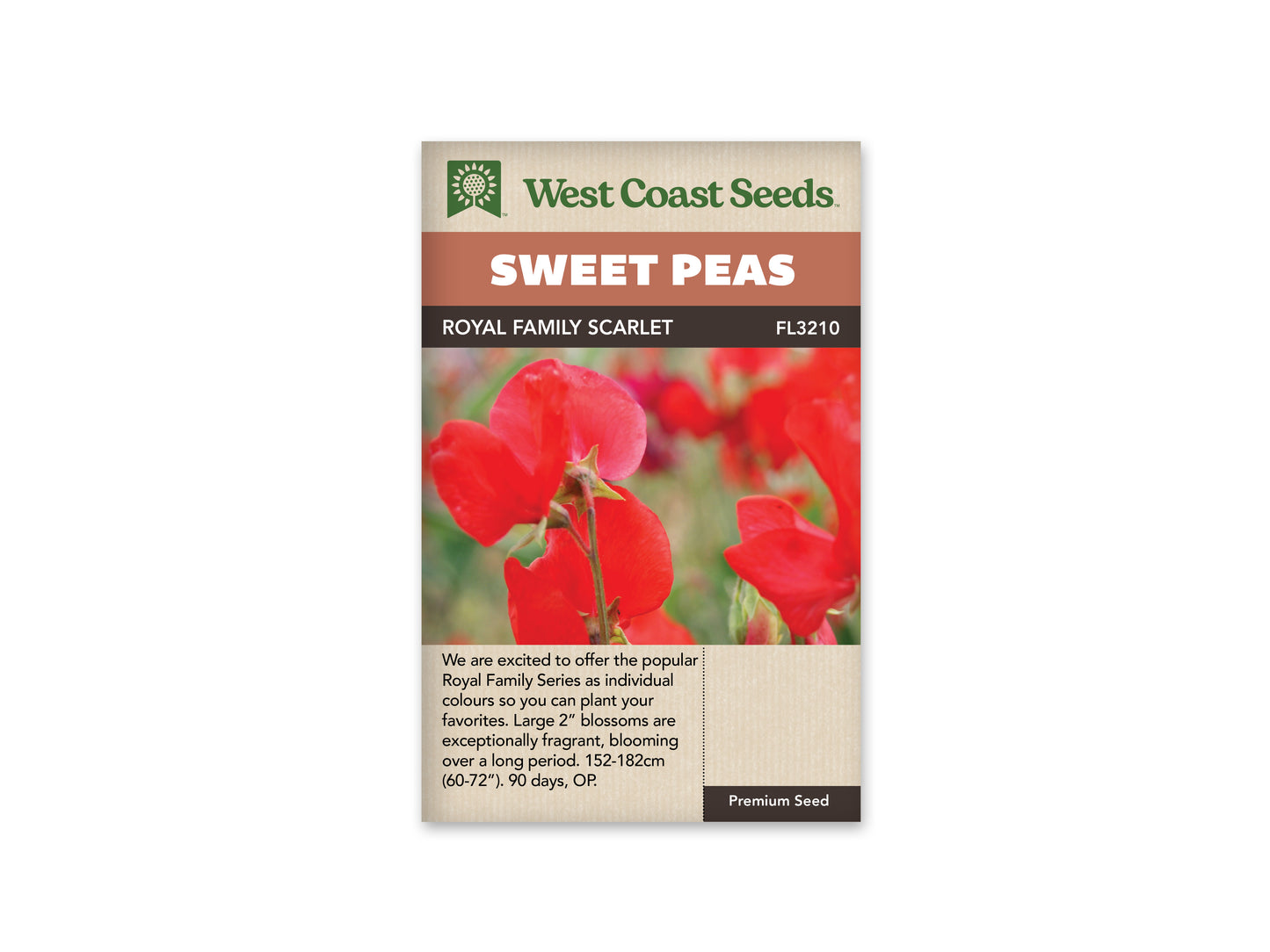 Sweet Peas “Royal Family Scarlet” West Coast Seeds