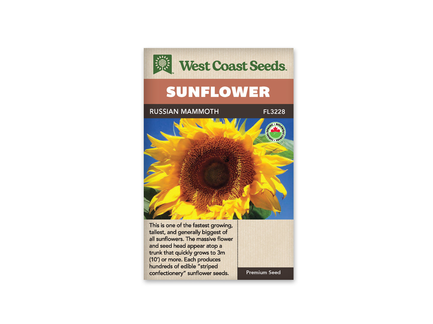 Sunflowers “Russian Mammoth Organic” West Coast Seeds