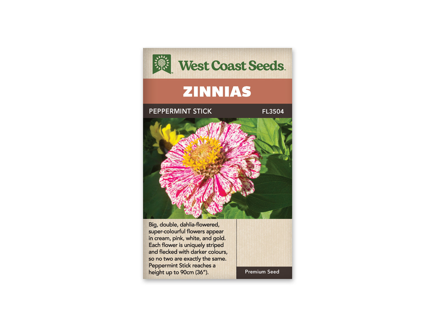 Zinnias “Peppermint Stick” West Coast Seeds