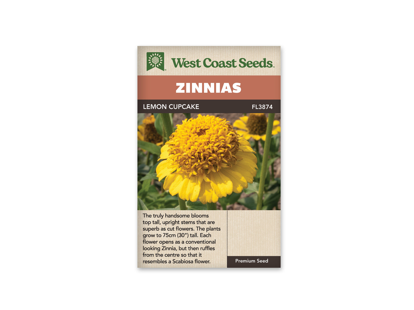 Zinnias “Lemon Cupcake” West Coast Seeds
