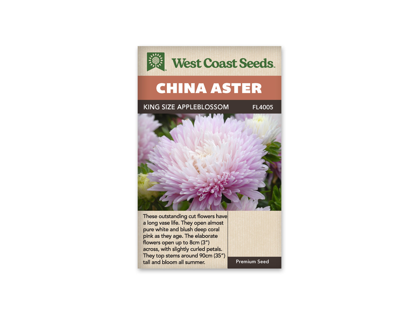 Aster “King Size Appleblossom” West Coast Seeds