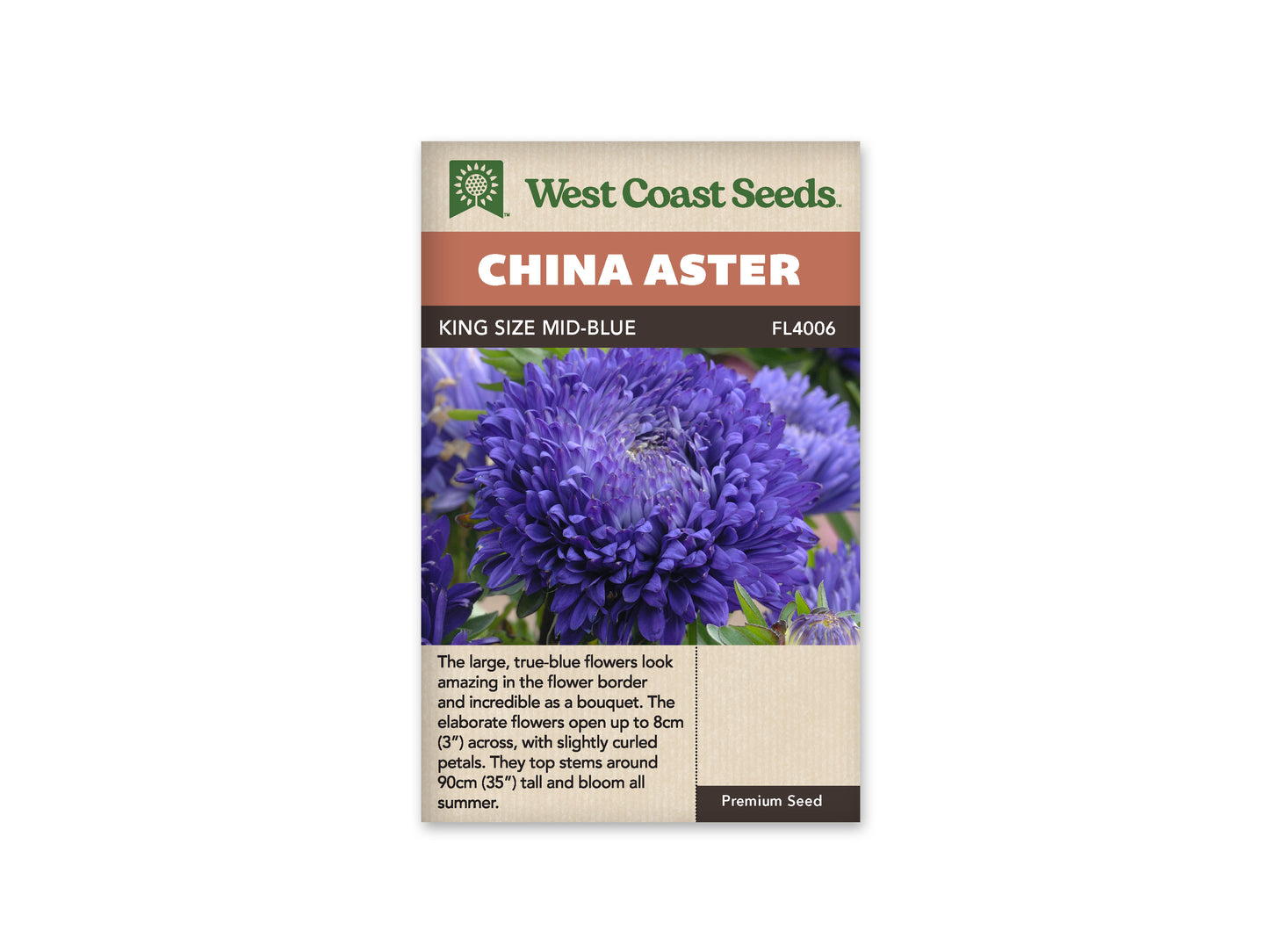 Aster “King Size Mid-Blue” West Coast Seeds
