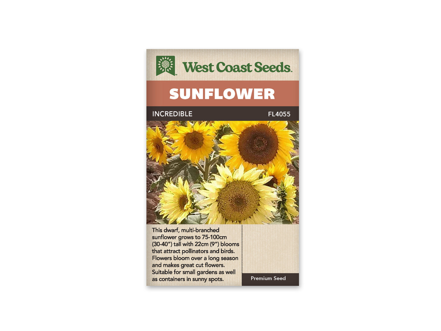 Sunflowers "Incredible" West Coast Seeds