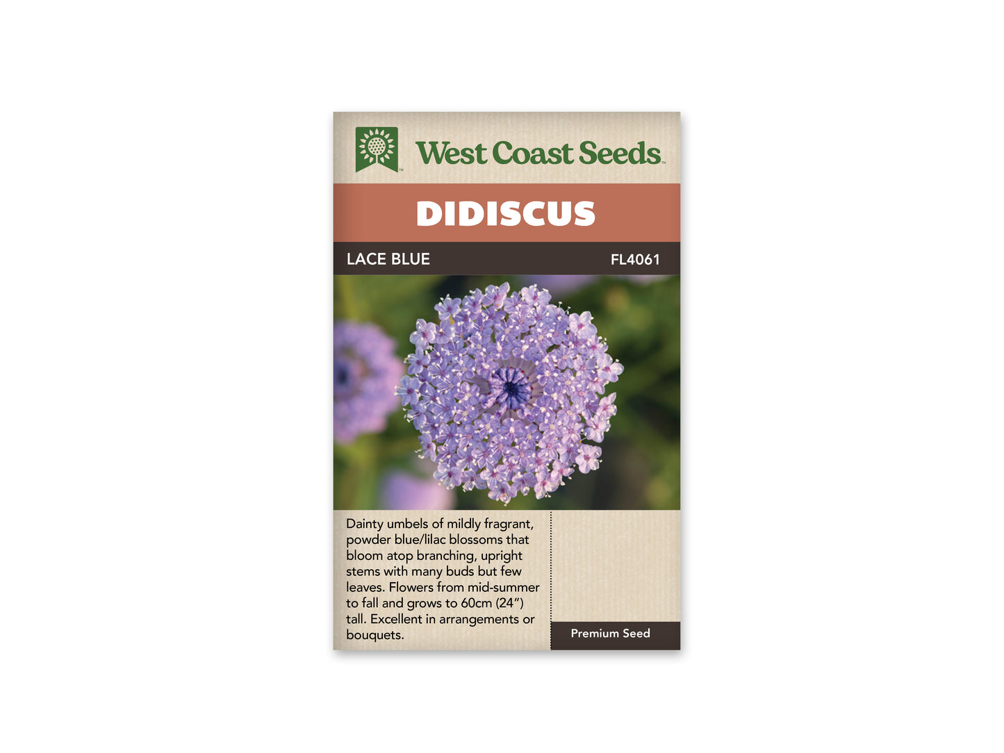 Didiscus “Lace Blue” West Coast Seeds