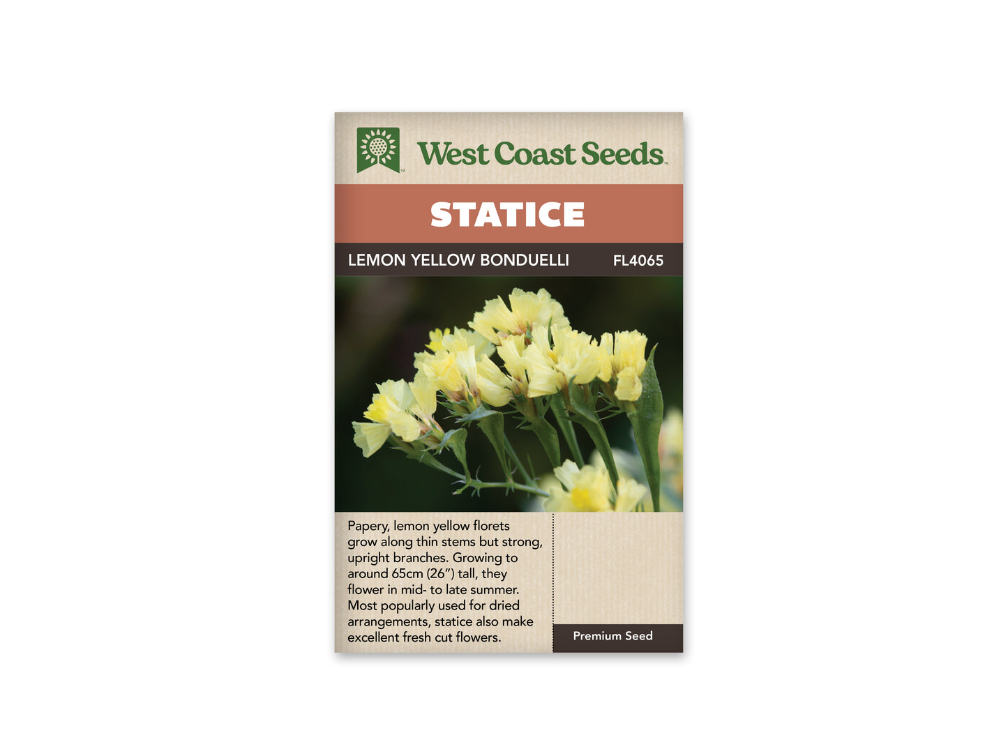 Statice “Lemon Yellow Bonduelli” West Coast Seeds