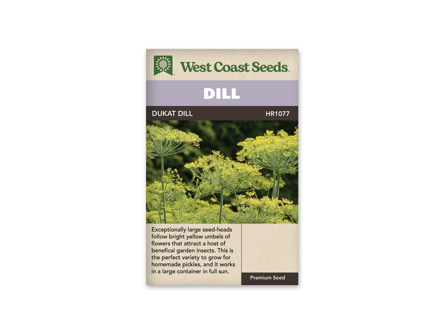 Dill "Dukat" West Coast Seeds