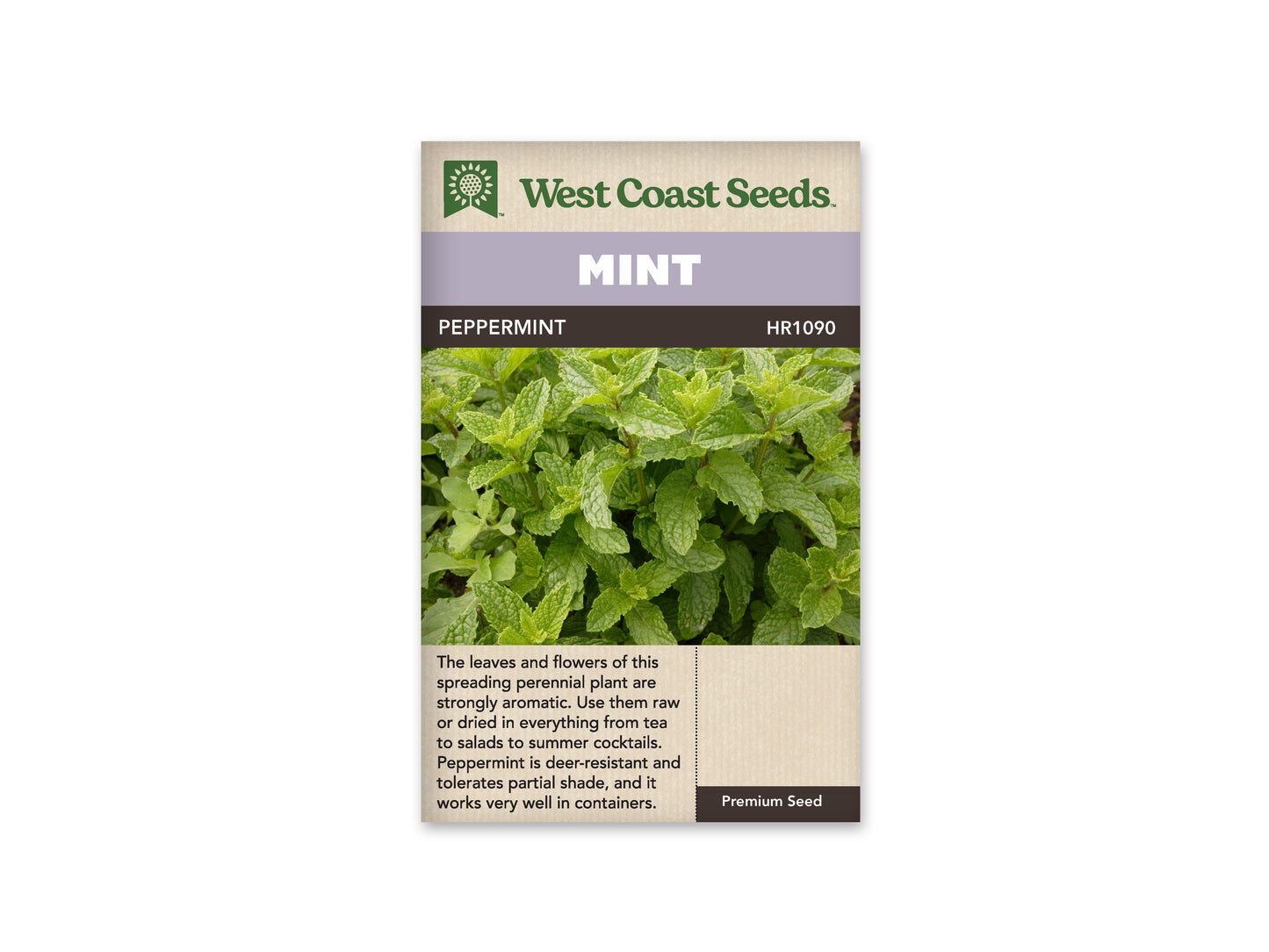 Peppermint "Peppermint" West Coast Seeds