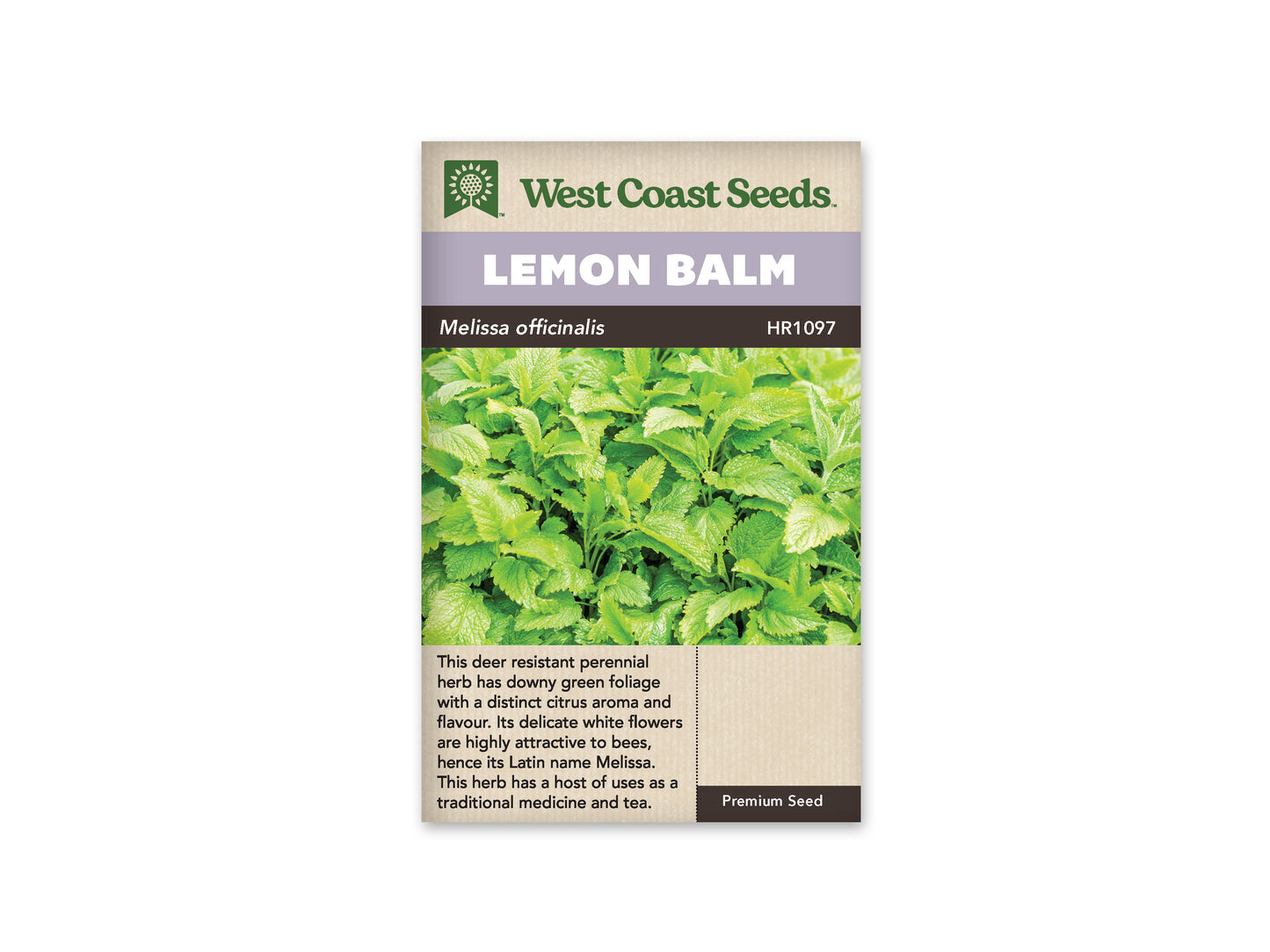 Lemon Balm West Coast Seeds