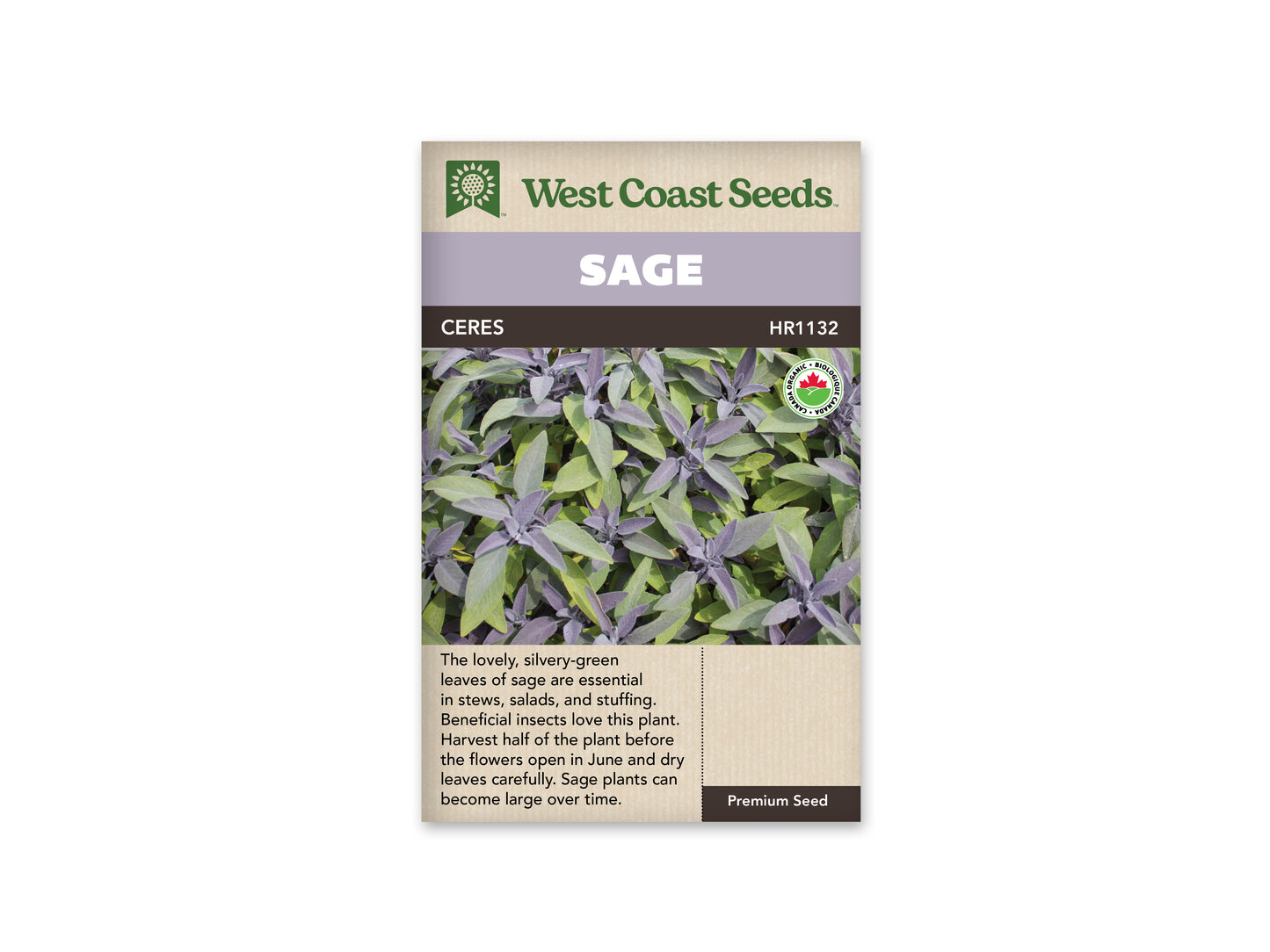 Sage “Ceres Organic” West Coast Seeds