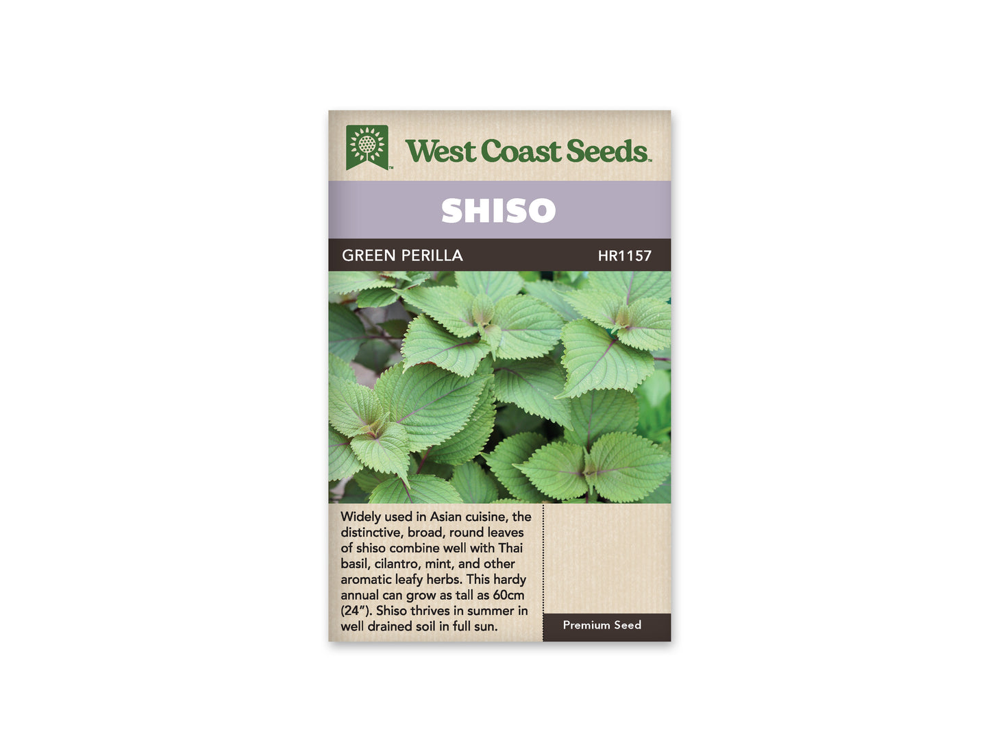 Shiso “Green Perilla Shiso” West Coast Seeds