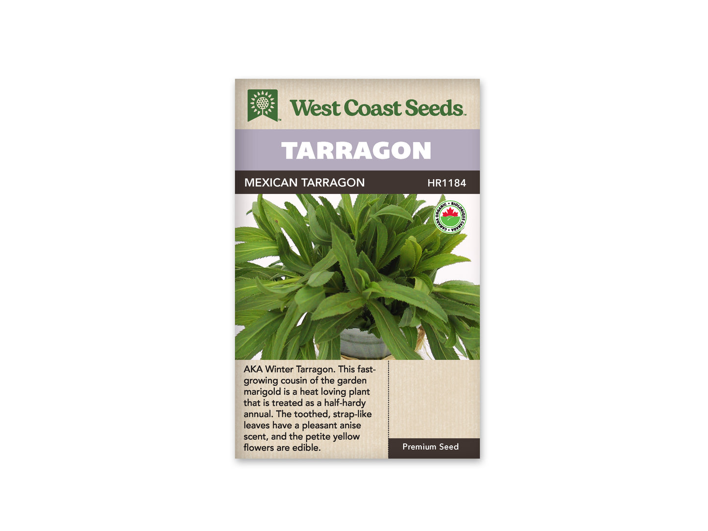Tarragon “Mexican Organic” West Coast Seeds