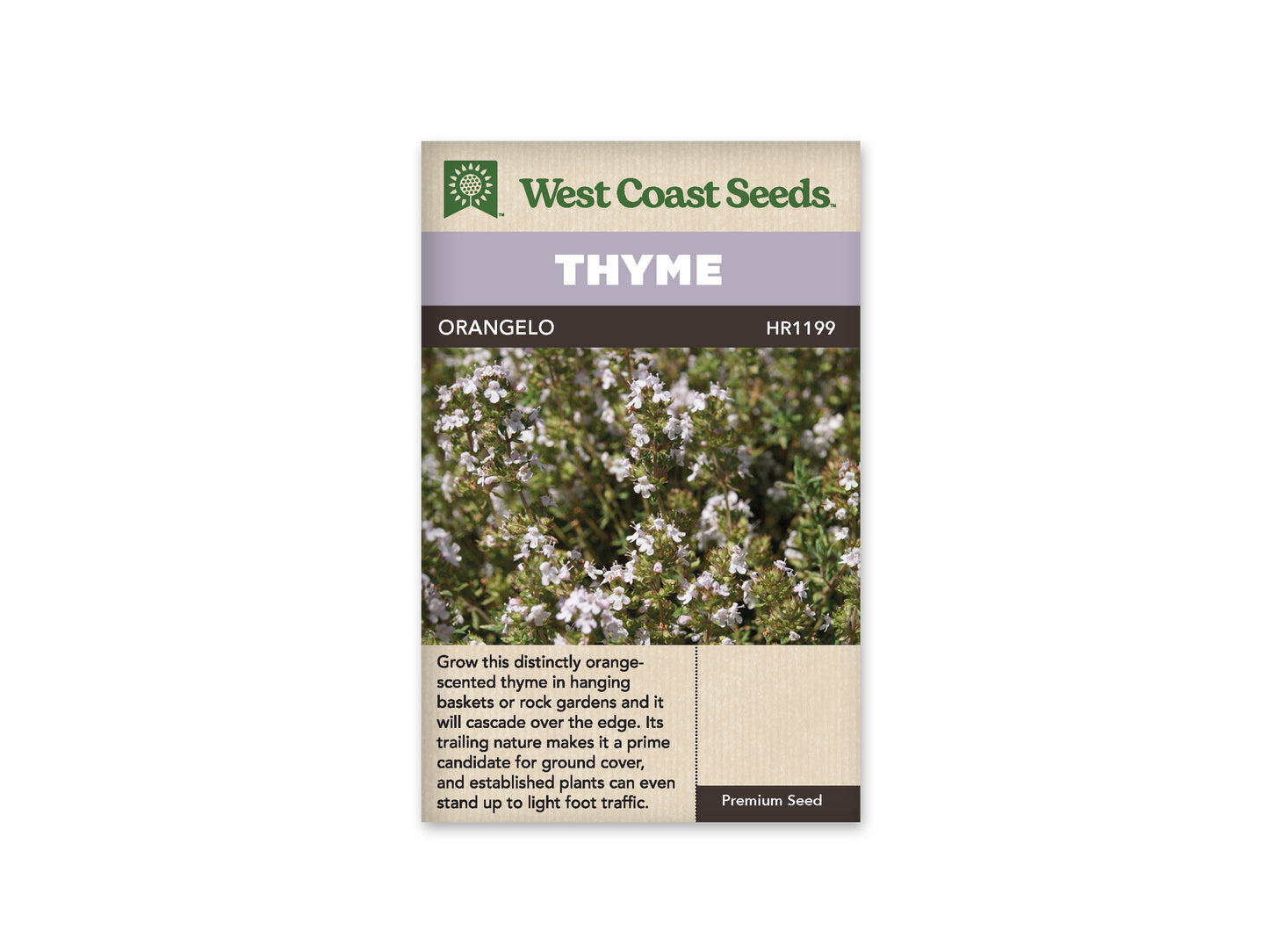 Thyme “Orangelo” West Coast Seeds