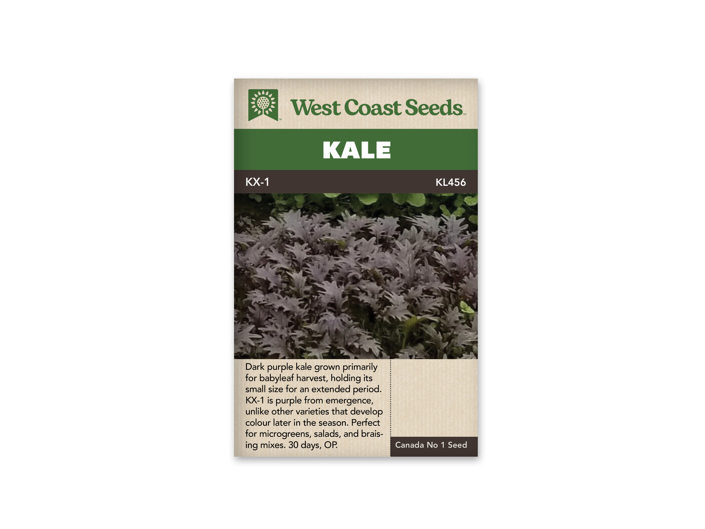 Kale “KX-1” West Coast Seeds