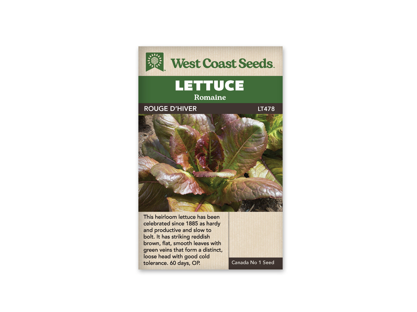 Lettuce "Rouge d'Hiver" West Coast Seeds