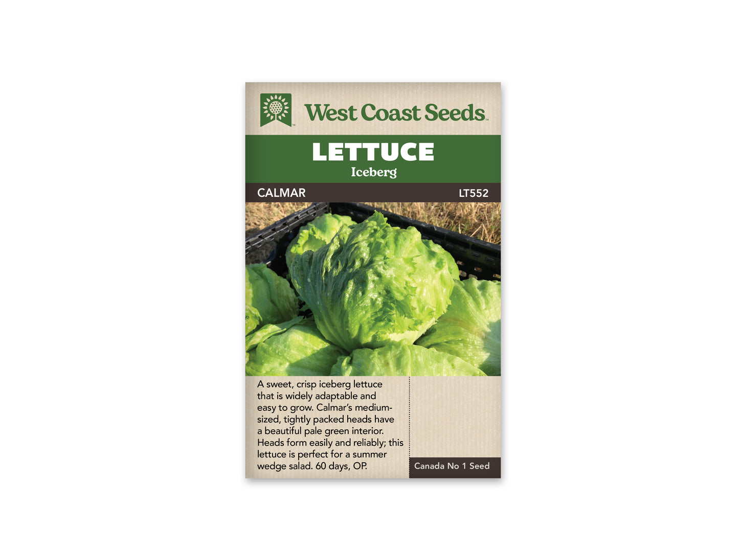 Lettuce “Calmar” West Coast Seeds