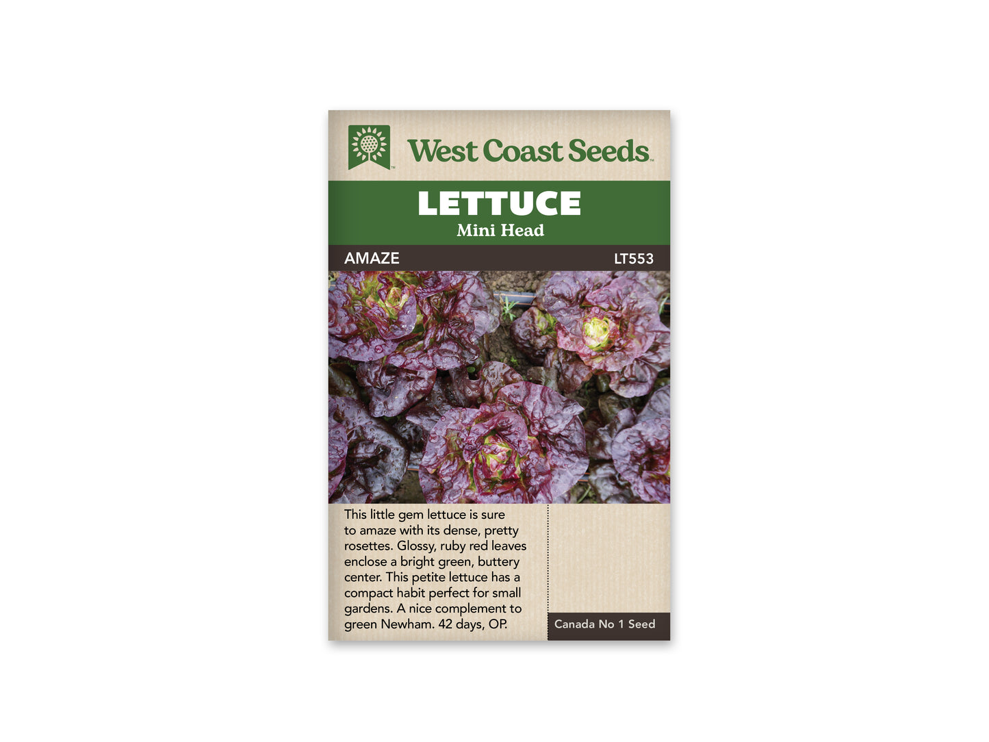 Lettuce "Amaze" West Coast Seeds