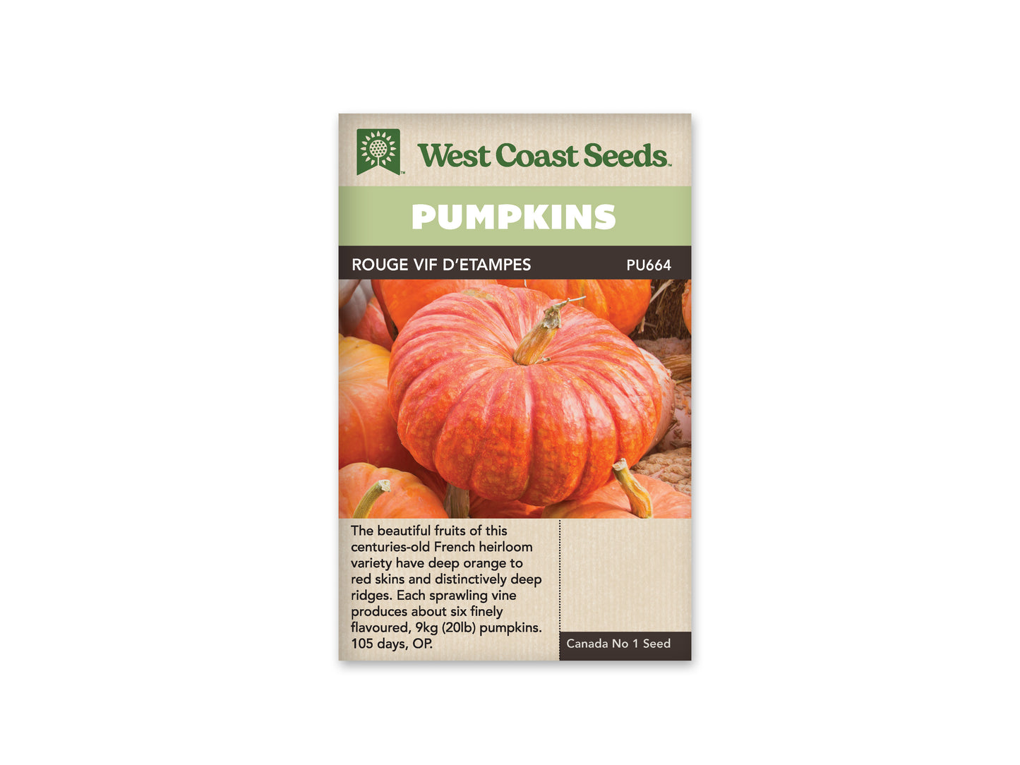 Pumpkins "Rouge Vif d'Etampes" West Coast Seeds