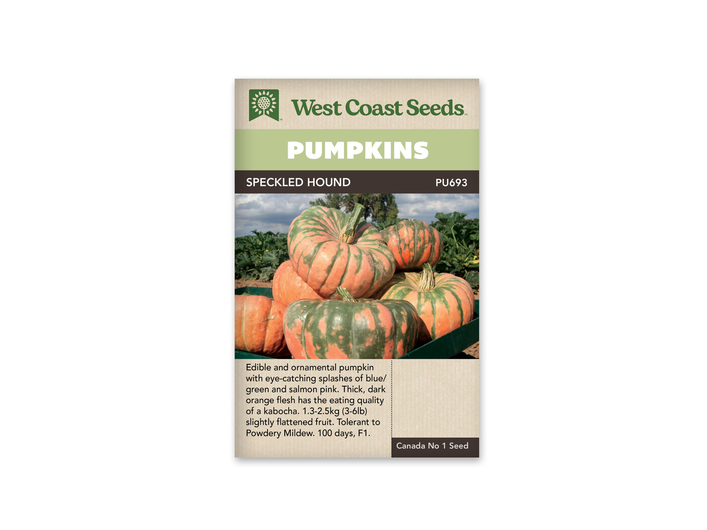 Pumpkins "Speckled Hound F1" West Coast Seeds