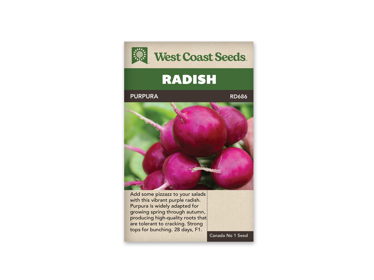 Radishes "Purpura F1" West Coast Seeds