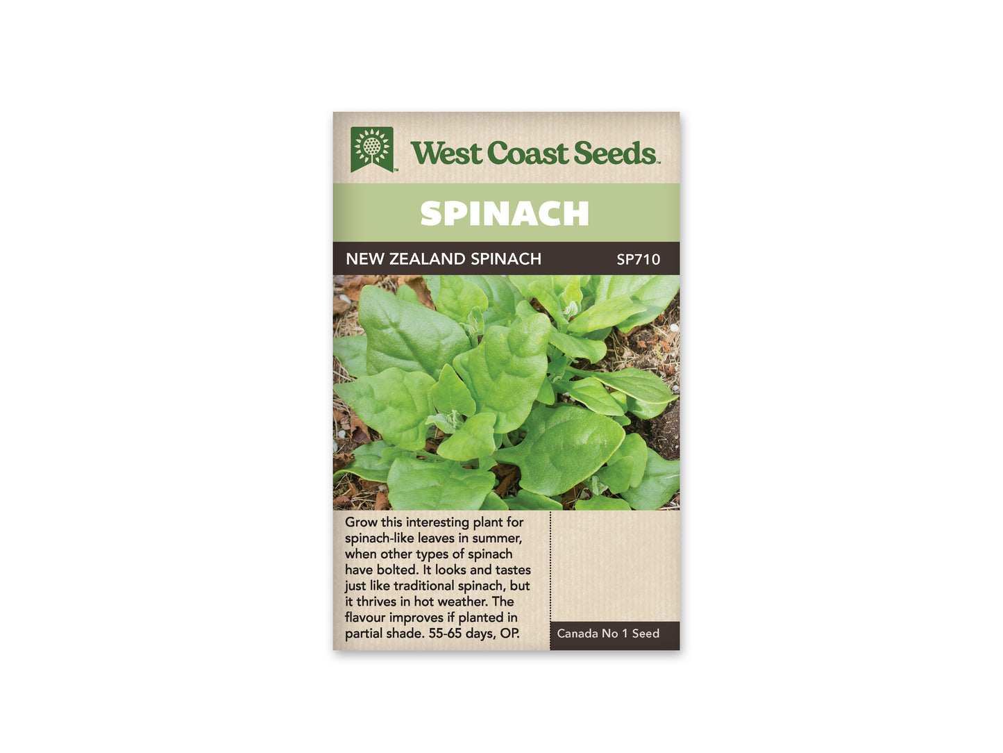 Spinach “New Zealand Spinach” West Coast Seeds