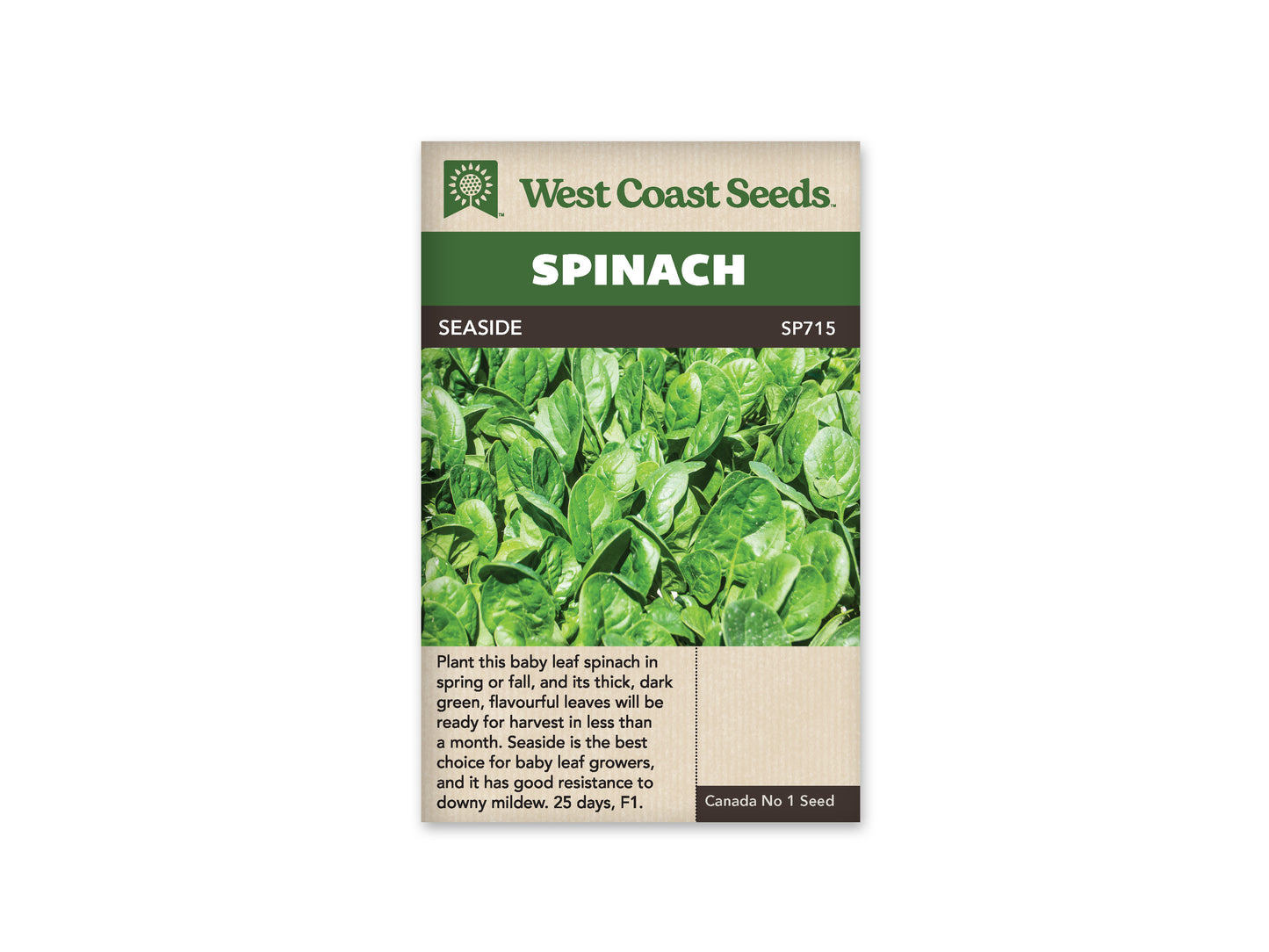Spinach “Seaside F1” West Coast Seeds