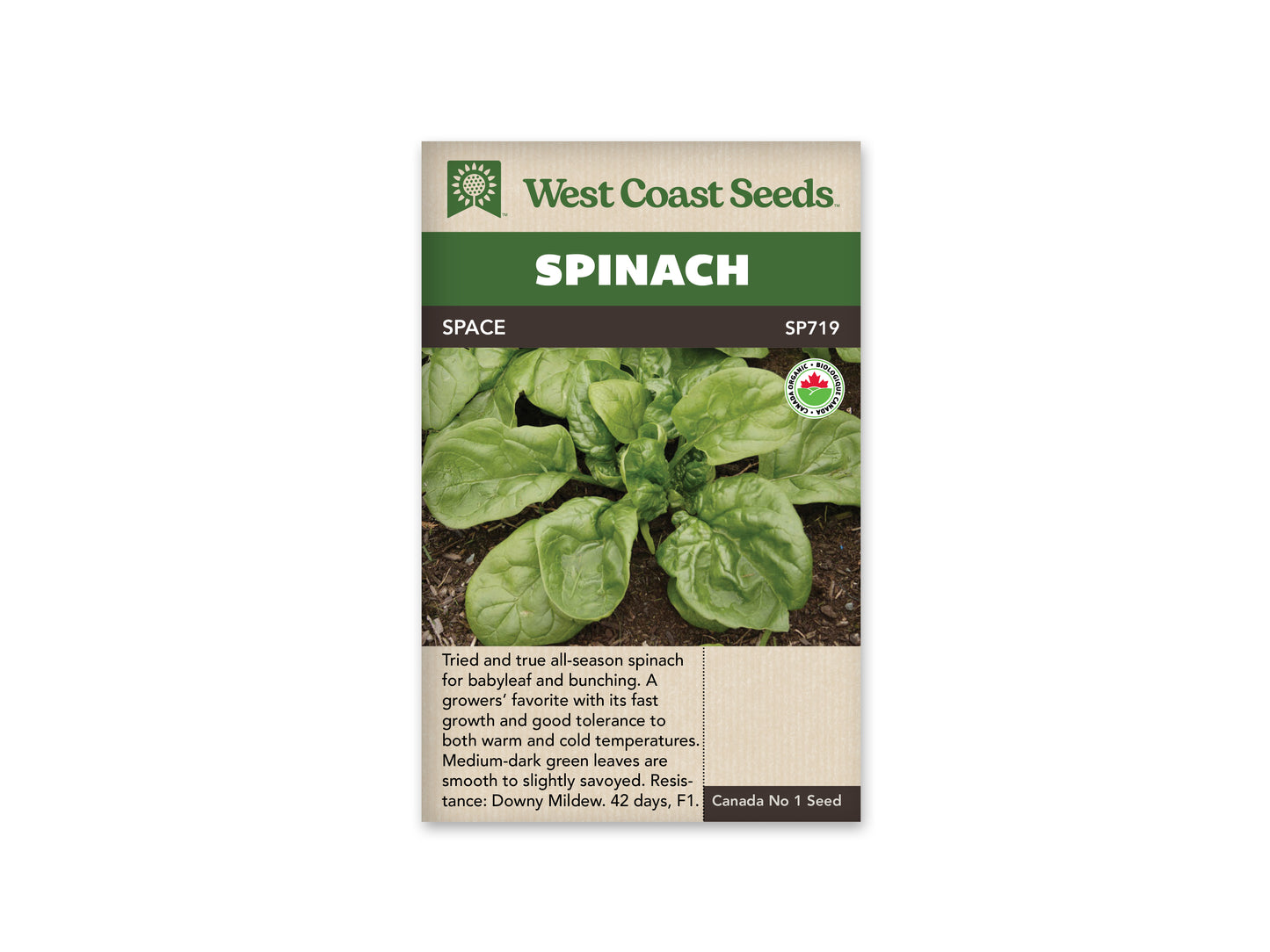 Spinach “Space F1 Organic” West Coast Seeds