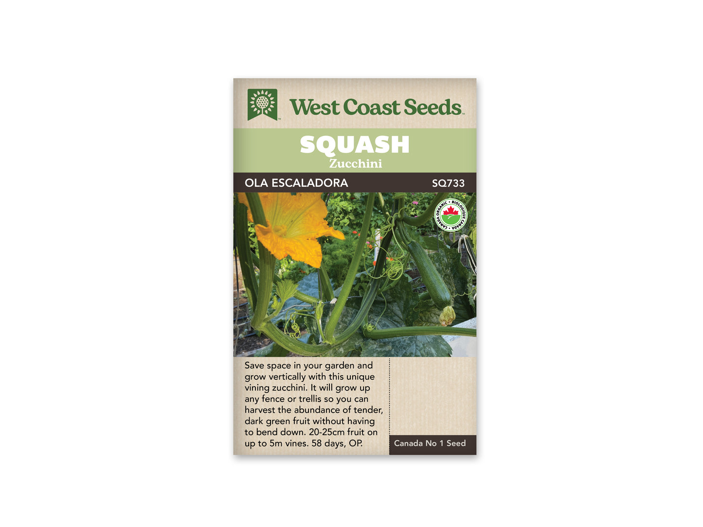 Squash-Summer "Ola Escaladora Organic" West Coast Seeds