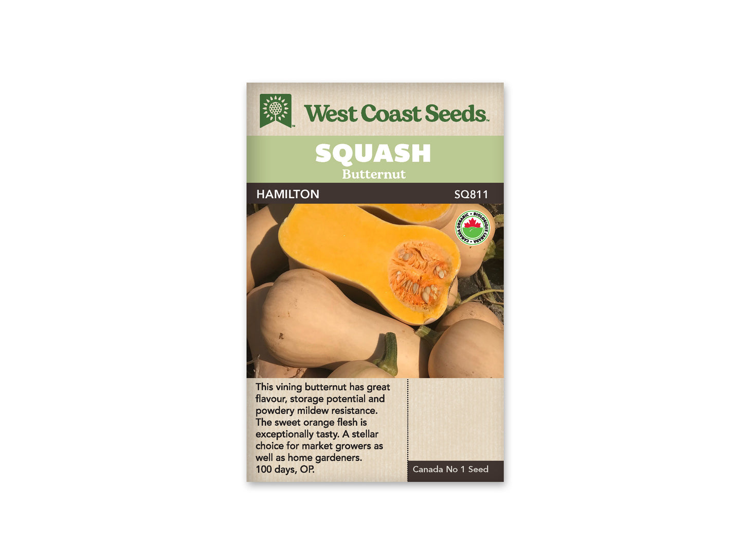 Winter Squash “Hamilton Organic” West Coast Seeds