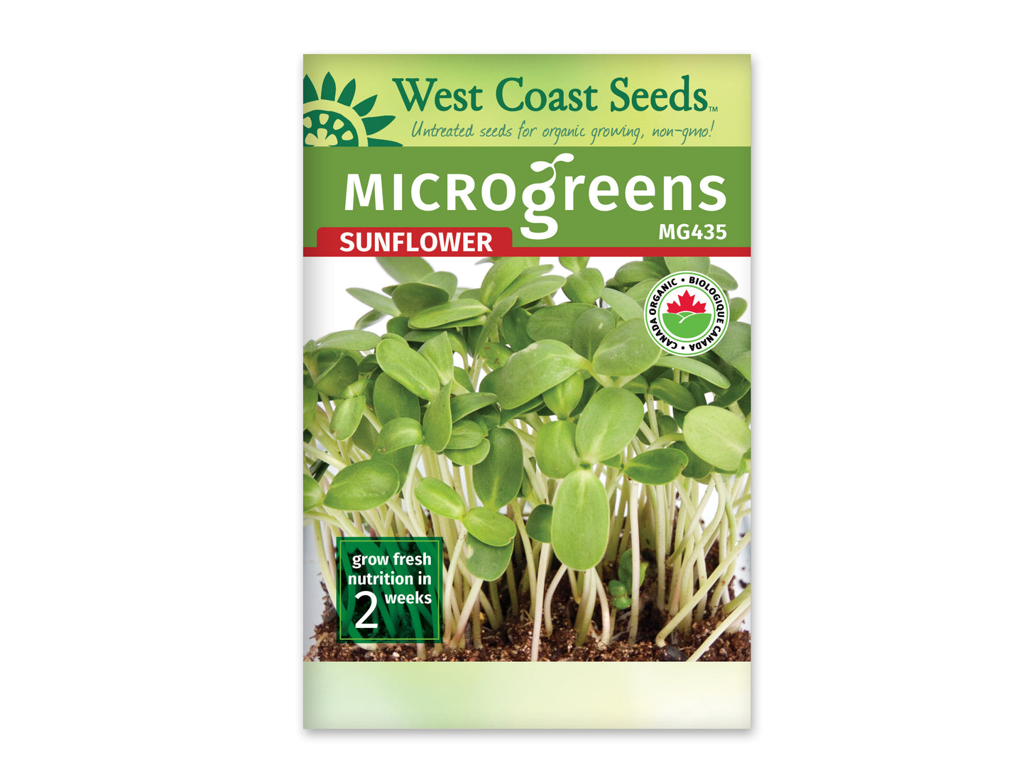 Microgreens “Sunflower Seeds Organic” West Coast Seeds