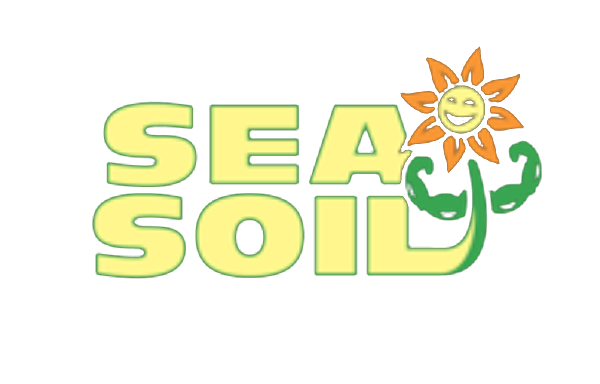 Sea Soil