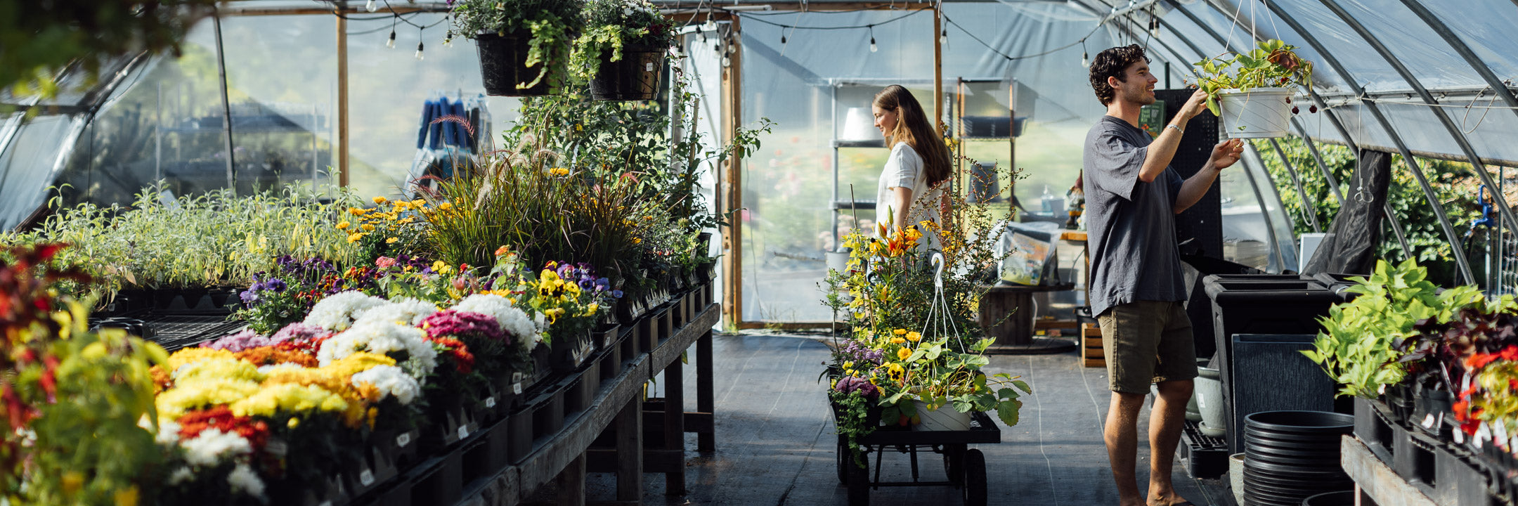 Plants – Page 5 – Local Roots Farm Market
