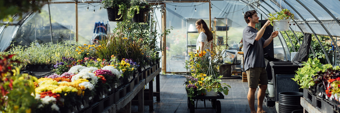 Plants – Page 5 – Local Roots Farm Market