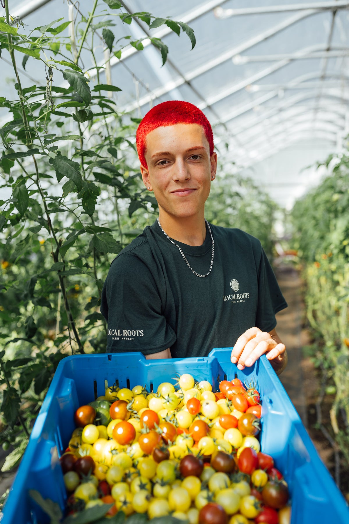 Harvesting