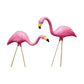 Bloem Pink Flamingo 2 Pack