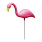 Bloem Mini Mingo 2 Pack
