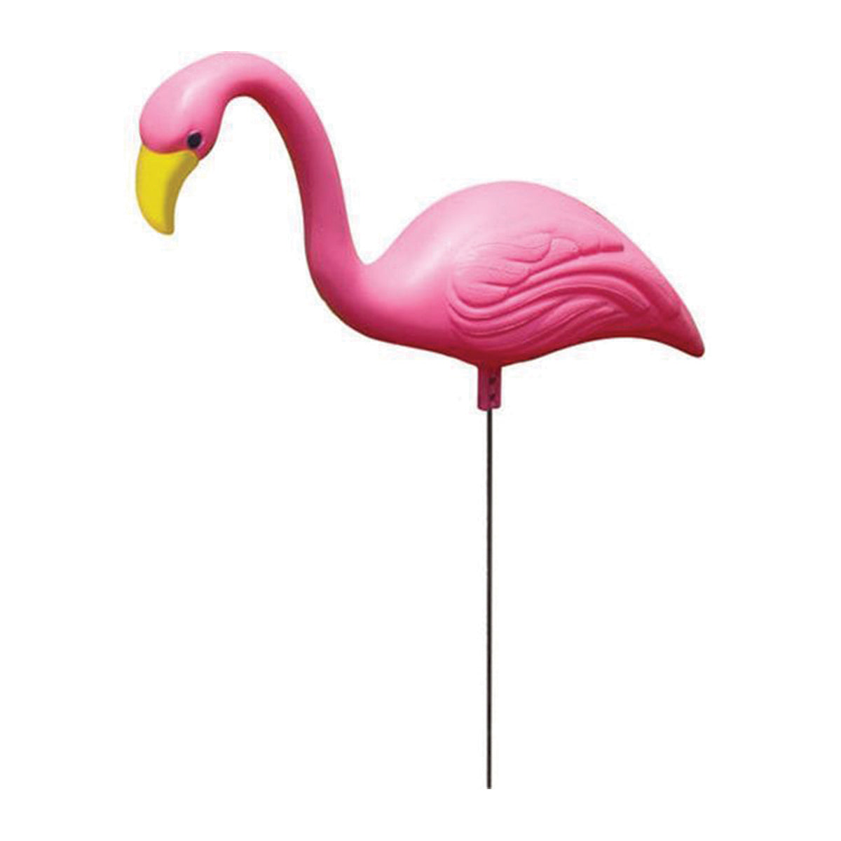 Bloem Mini Mingo 2 Pack