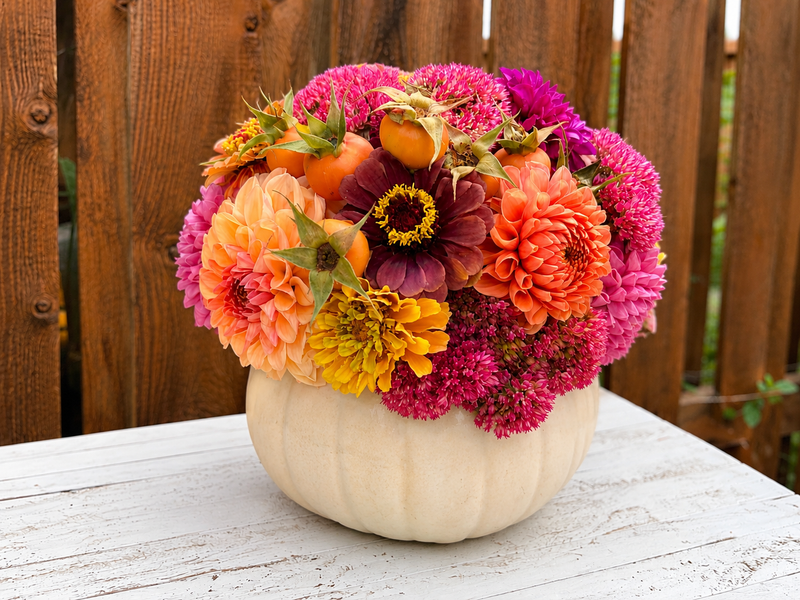 Harvest Bloom Bar
